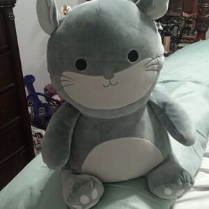 Camilo Grey Chinchilla